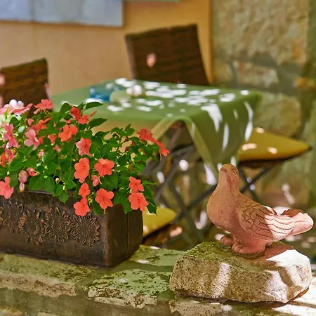 Snasic In Ravni * Istrien 招待所